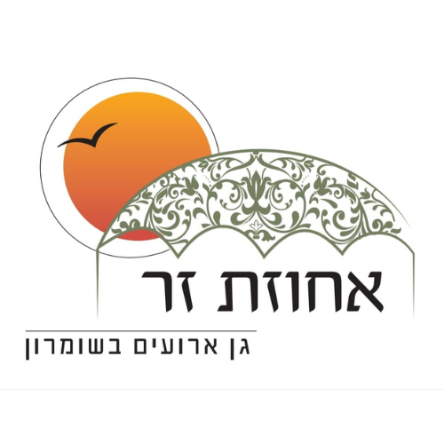 עיצוב ללא שם - 2024-09-09T113757.231